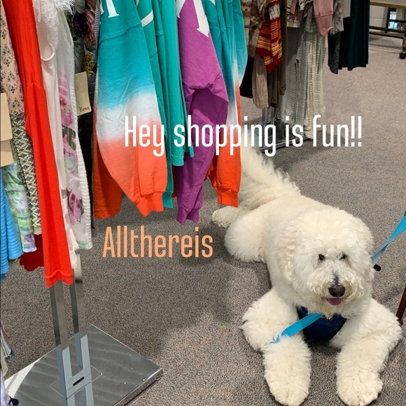 Meet The Vice President π - Picture 12 of 17